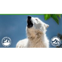 LOCKWOOD ANIMAL RESCUE CENTER LARC logo - Similar company to Animal Rescue Veterinary Services
