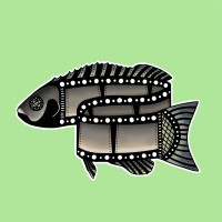 Black Snapper International Film Festival logo - Similar company to Mypathfinder Consultancy