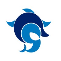 Soluphin logo - Similar company to Team Pixels