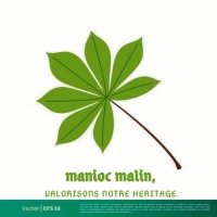 maniocmalin logo - Similar company to Fecularia Proença