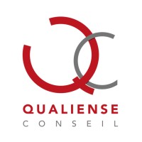 Qualiense Conseil logo - Similar company to Ng Audit