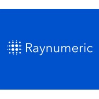 Raynumeric Simulation & Technologies LLP logo - Similar company to Iser Global Solutions Private Limited