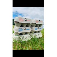 Mourne Eggs Ltd logo - Similar company to Beef-It