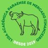 Liga de Mercado Financeiro UFPA logo - Similar company to Projeto Resgate