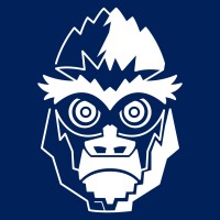 Silverbacks Elite Rugby logo - Similar company to Silverback Services