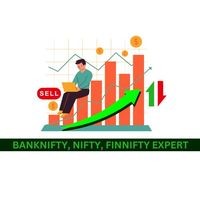 BankNifty Nifty Expert logo - Similar company to Option Wealth Official