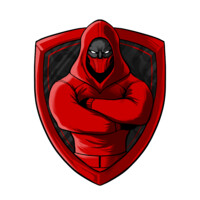 Stealth Tech Services Co logo - Similar company to Steadi