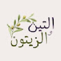 Teen & Zaytoun logo - Similar company to Wealth Heights