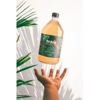 Bravía Kombucha logo - Similar company to Vitae Kombucha