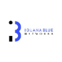 Iguana Blue Networks