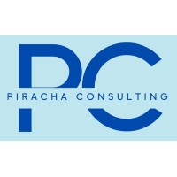 Piracha Consulting logo - Similar company to Tgs Tech