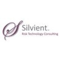 Silvient LLC logo - Similar company to Silvon Software
