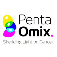 Pentaomix logo - Similar company to Smartcare Analytics