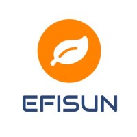 EFISUN logo - Similar company to Beepoz Toulon