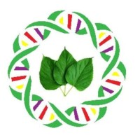 Kalphelix Biotechnologies logo - Similar company to Innatepro