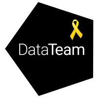 DataTeam logo - Similar company to Datateams