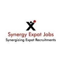 Synergy Expat Jobs LLP logo - Similar company to Shoptap.In