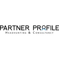 Partner Profile logo - Similar company to System Network Administrator