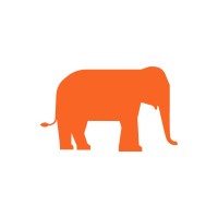 21 Elephants