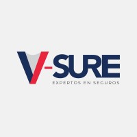 V-SURE logo - Similar company to V Sure Global Solution