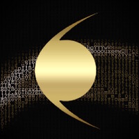 GOLD COMET logo - Similar company to Bel Research
