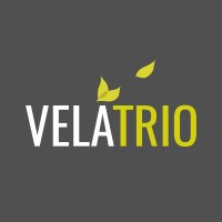 Velatrio Consulting logo - Similar company to Bcs Life Support, Llc