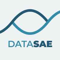Datasae ID logo - Similar company to Sama Saga