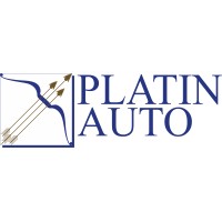 Platin Auto Llc