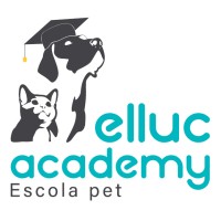 Elluc Academy logo - Similar company to Doublevendas