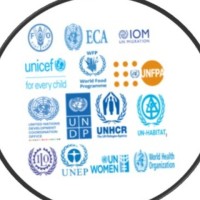 United Nations Network for Evaluation Systems Strengthening in Africa (UNNESSA) logo - Similar company to Clear-Aa