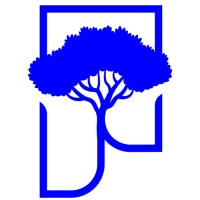 Pine Networks logo - Similar company to Fonex Data Systems Inc