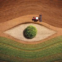 SeedFuture logo - Similar company to Agribio Servizi Srl