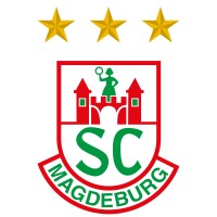 SC Magdeburg - Handball Magdeburg GmbH logo - Similar company to Rhein-Neckar Löwen