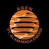 PT. ALAM NIAGA ENERGI logo - Similar company to Pt. Strata Plan Consultant