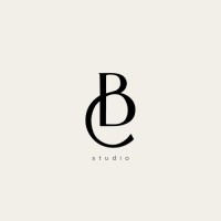 Boro Media logo - Similar company to Tobo.Creative