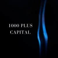 1000 Plus Capital logo - Similar company to Thousand Plus