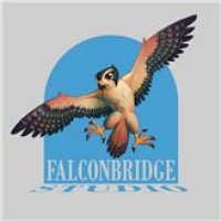 Falconbridge Studio logo - Similar company to Th1Ng