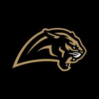 Bay Area Panthers logo - Similar company to Knighted