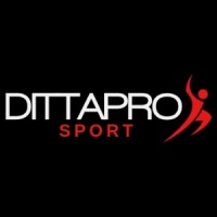 DITTAPRO LTD logo - Similar company to Send Network Ltd