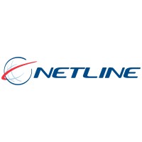 Netline Chile logo - Similar company to Grupo Metrowan