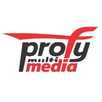 Profy Media logo - Similar company to Budget Digital