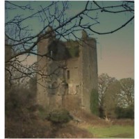 Merriman Research & Training Ltd