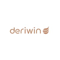 deriwin logo - Similar company to Apex Soft Labs
