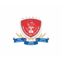 Mahatma Gandhi Hospital logo - Similar company to Medipulse Hospital