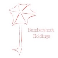 Bumbershoot Holdings logo - Similar company to Needham Funds