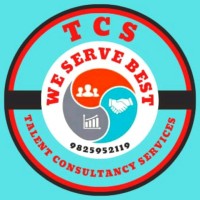 T C S - TALENT CONSULTANCY SERVICES logo - Similar company to Reliable Services