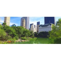Park Avenue Relationship Consultants