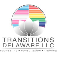 TRANSITIONS DELAWARE logo - Similar company to 786 Analytics