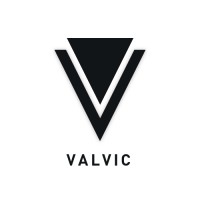 Valvic Global services logo