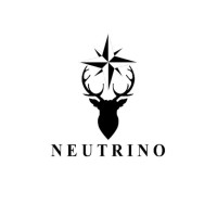 Neutrino Power and Energy Private Limited logo - Similar company to Impactgrit Consulting Pvt. Ltd.